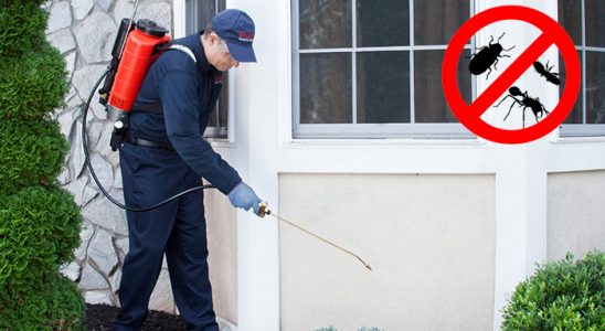 Türkeli Hamam Böceği İlaçlama böcek ilaçlama ve haşere kontrolü — ilaclama-tr.com
